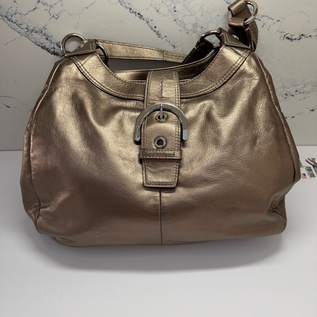 Coach Metallic Hobo Shoulder Bag